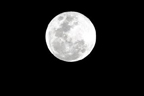 silver moon thumbnail